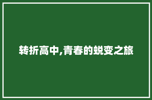 转折高中,青春的蜕变之旅