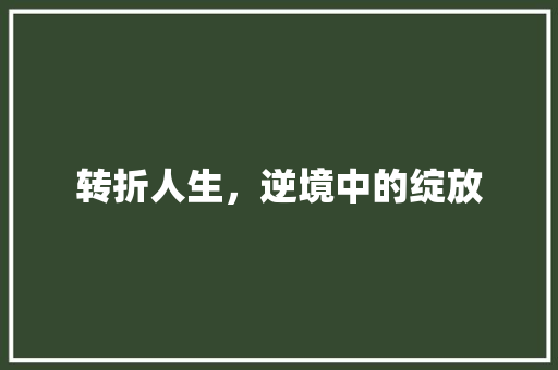 转折人生，逆境中的绽放