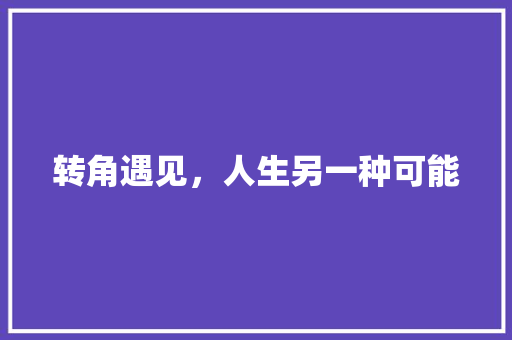 转角遇见，人生另一种可能