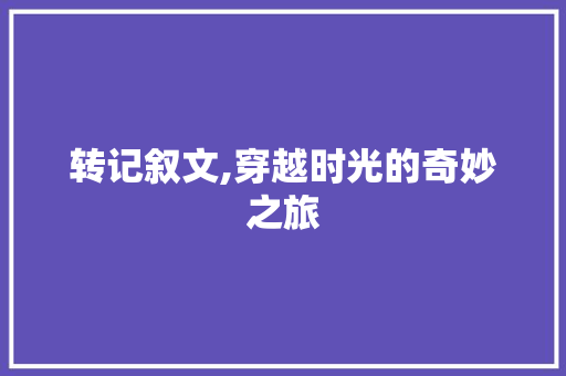 转记叙文,穿越时光的奇妙之旅