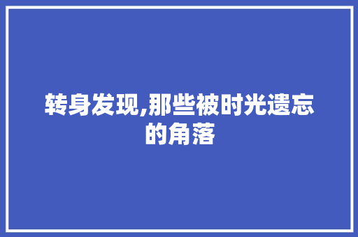 转身发现,那些被时光遗忘的角落