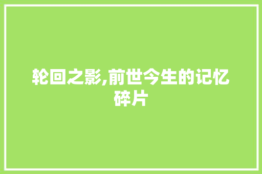 轮回之影,前世今生的记忆碎片 求职信范文