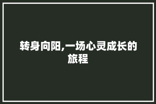 转身向阳,一场心灵成长的旅程 职场范文