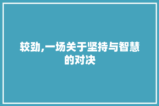 较劲,一场关于坚持与智慧的对决