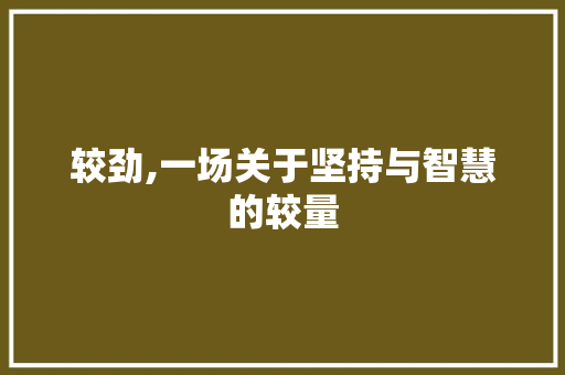 较劲,一场关于坚持与智慧的较量