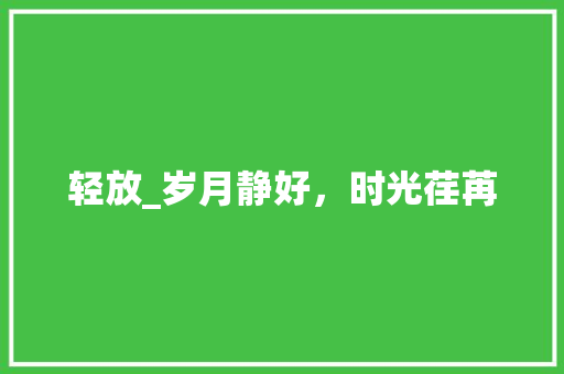 轻放_岁月静好，时光荏苒 书信范文