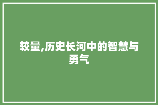 较量,历史长河中的智慧与勇气