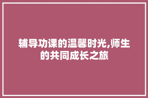 辅导功课的温馨时光,师生的共同成长之旅