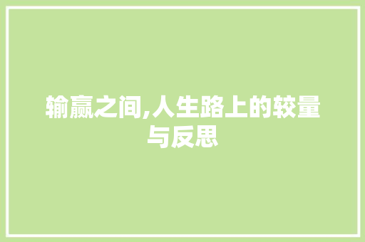 输赢之间,人生路上的较量与反思