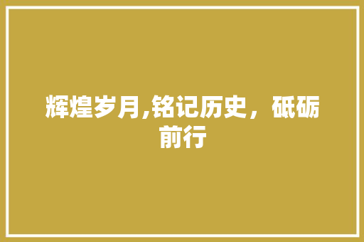 辉煌岁月,铭记历史，砥砺前行