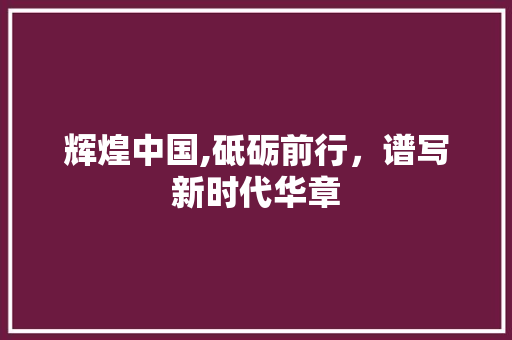 辉煌中国,砥砺前行，谱写新时代华章 报告范文