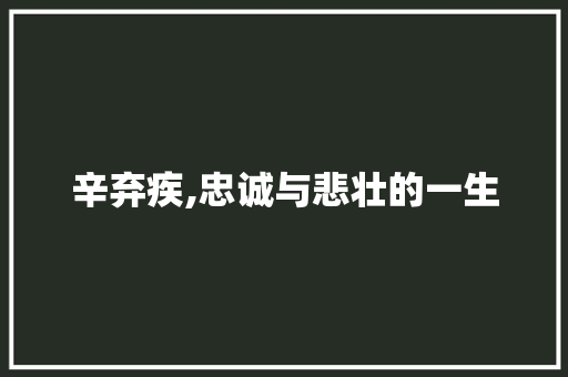 辛弃疾,忠诚与悲壮的一生