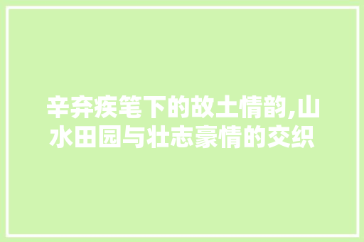 辛弃疾笔下的故土情韵,山水田园与壮志豪情的交织