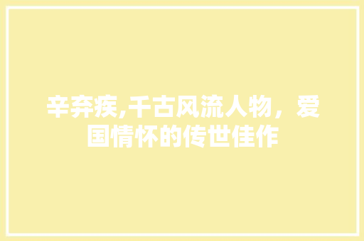 辛弃疾,千古风流人物，爱国情怀的传世佳作