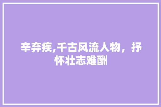 辛弃疾,千古风流人物，抒怀壮志难酬