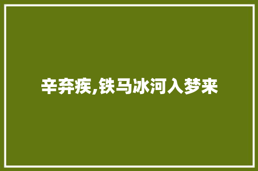 辛弃疾,铁马冰河入梦来