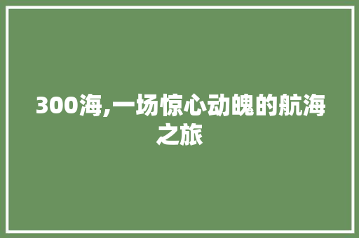 300海,一场惊心动魄的航海之旅