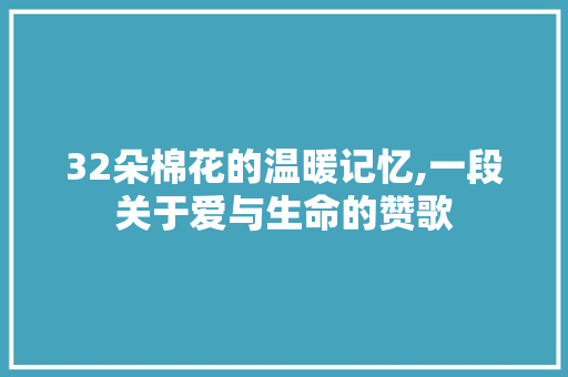 32朵棉花的温暖记忆,一段关于爱与生命的赞歌