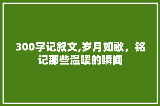 300字记叙文,岁月如歌，铭记那些温暖的瞬间