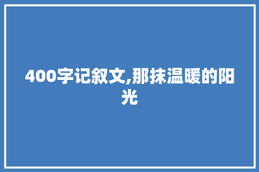 400字记叙文,那抹温暖的阳光