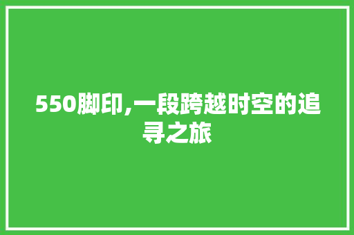 550脚印,一段跨越时空的追寻之旅