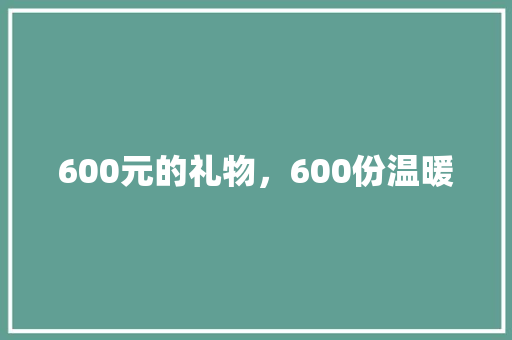 600元的礼物，600份温暖