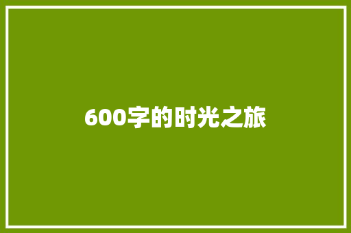 600字的时光之旅