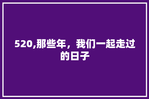 520,那些年，我们一起走过的日子