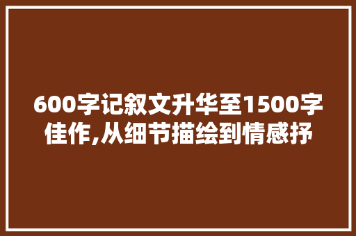 600字记叙文升华至1500字佳作,从细节描绘到情感抒发的蜕变