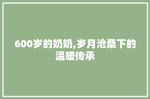 600岁的奶奶,岁月沧桑下的温暖传承