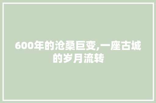 600年的沧桑巨变,一座古城的岁月流转