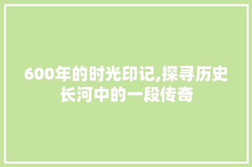 600年的时光印记,探寻历史长河中的一段传奇