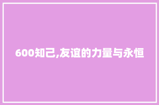 600知己,友谊的力量与永恒