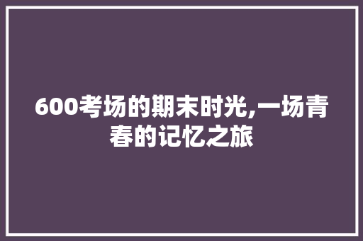 600考场的期末时光,一场青春的记忆之旅