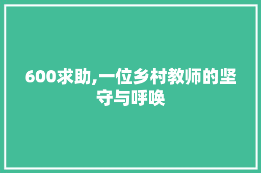 600求助,一位乡村教师的坚守与呼唤