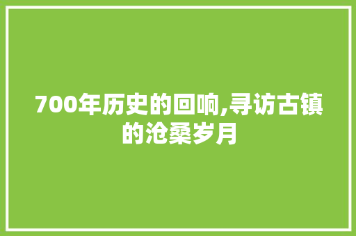 700年历史的回响,寻访古镇的沧桑岁月