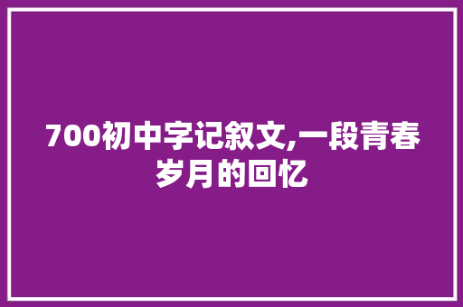 700初中字记叙文,一段青春岁月的回忆