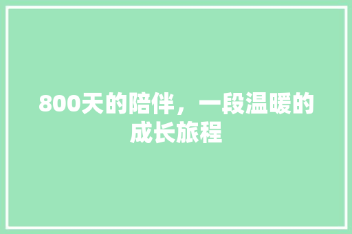 800天的陪伴，一段温暖的成长旅程