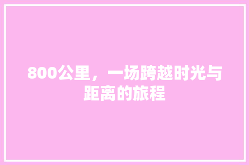 800公里，一场跨越时光与距离的旅程