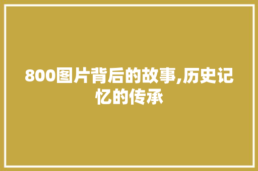 800图片背后的故事,历史记忆的传承