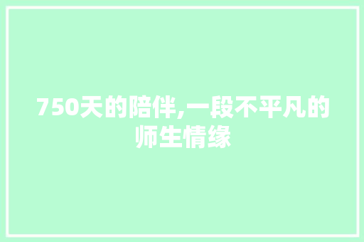 750天的陪伴,一段不平凡的师生情缘