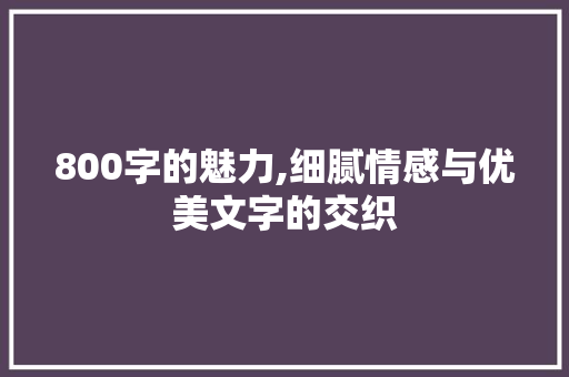 800字的魅力,细腻情感与优美文字的交织