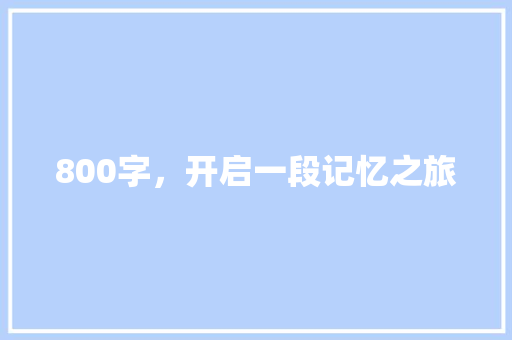 800字，开启一段记忆之旅