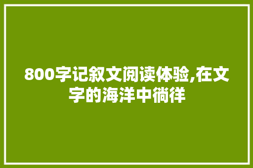 800字记叙文阅读体验,在文字的海洋中徜徉