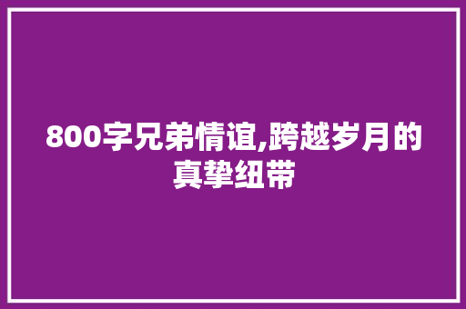 800字兄弟情谊,跨越岁月的真挚纽带