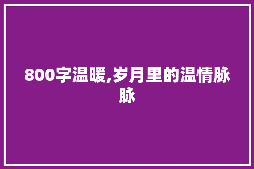 800字温暖,岁月里的温情脉脉