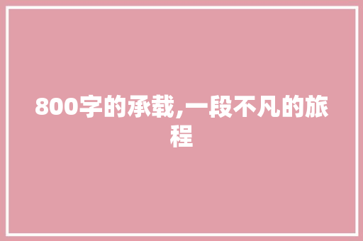 800字的承载,一段不凡的旅程