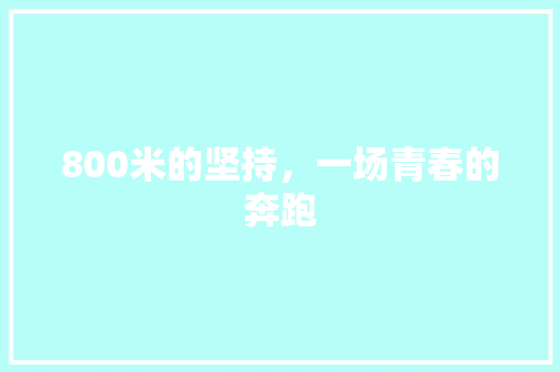 800米的坚持，一场青春的奔跑