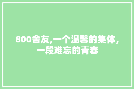 800舍友,一个温馨的集体，一段难忘的青春