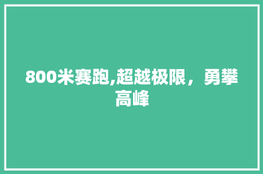 800米赛跑,超越极限，勇攀高峰